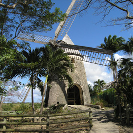 picture1